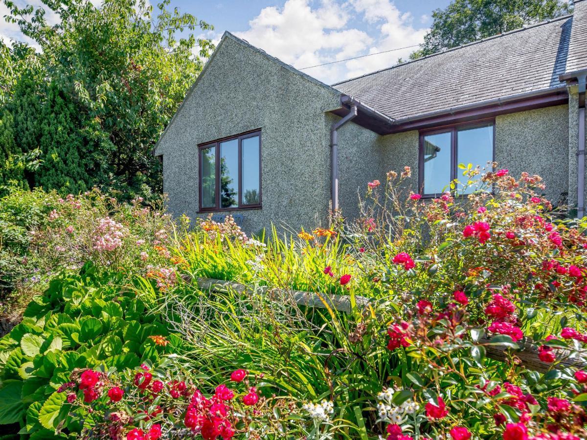 Llety Nest Llanfachreth Exterior foto
